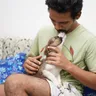 Best Dog Breeds in India: Family, Flat and Climate Picks