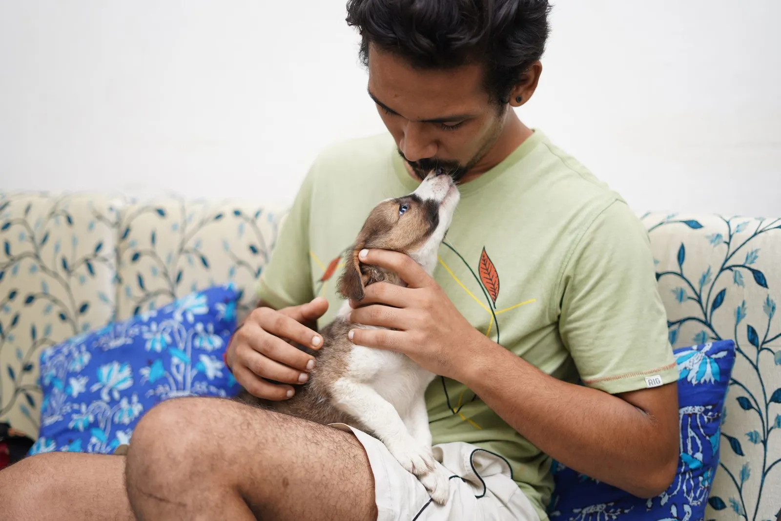 Best Dog Breeds in India: Family, Flat and Climate Picks