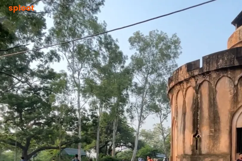 Doggy's Days Out at Kamla Nehru Ridge: Delhi’s Top Outdoor Spot