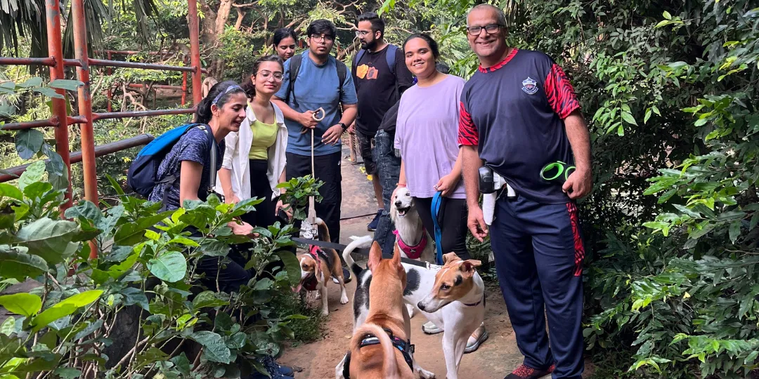 Group of pet parents and their dogs posing together on a wooded trail