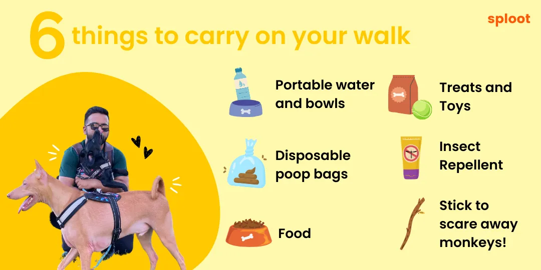 Infographic listing six things to carry on a dog walk, including water, treats and poop bags