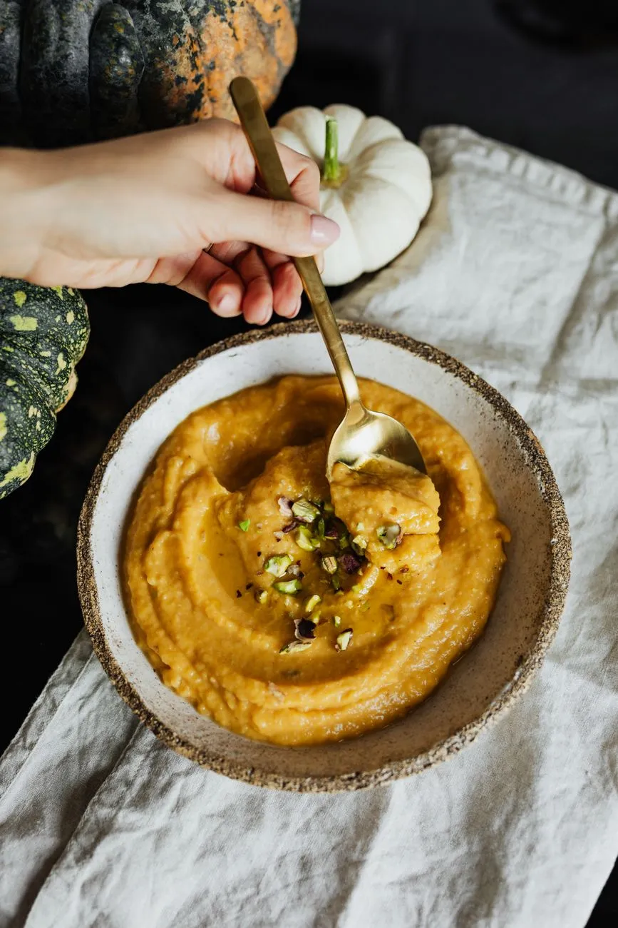 Plain pumpkin puree spooned into a dog food bowl