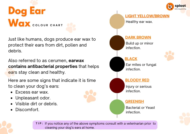 Dog ear wax colour chart showing light yellow/brown, dark brown, black, bloody red and greenish shades