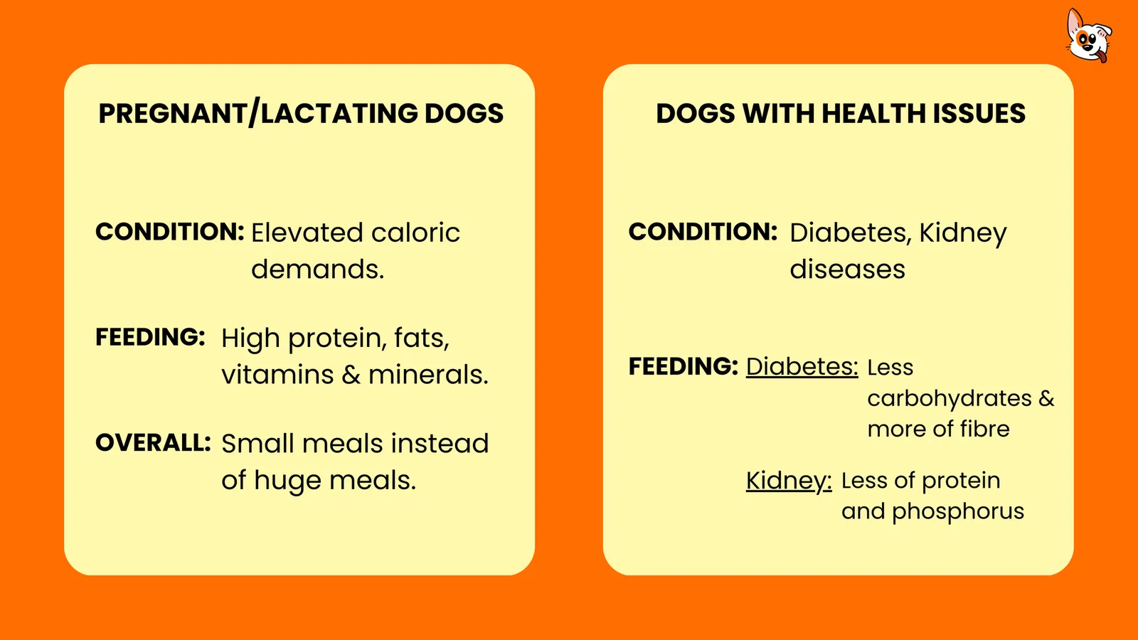 Chart comparing feeding needs of pregnant or lactating dogs and dogs with diabetes or kidney issues