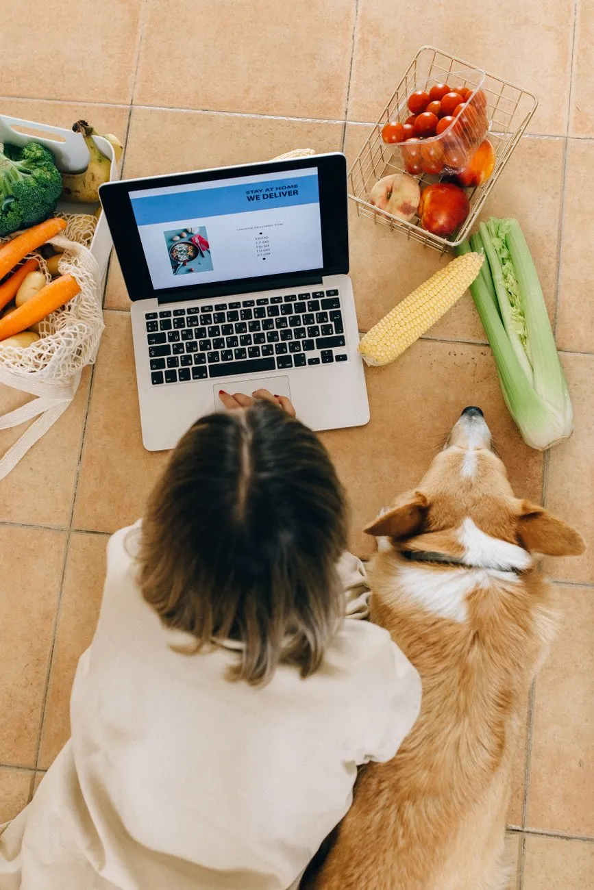 Person receiving a pet food delivery box at home