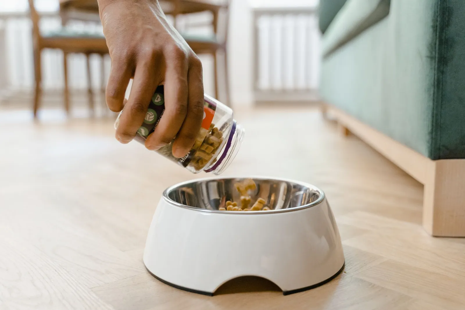 Fresh prepared dog food portioned in a bowl beside kibble