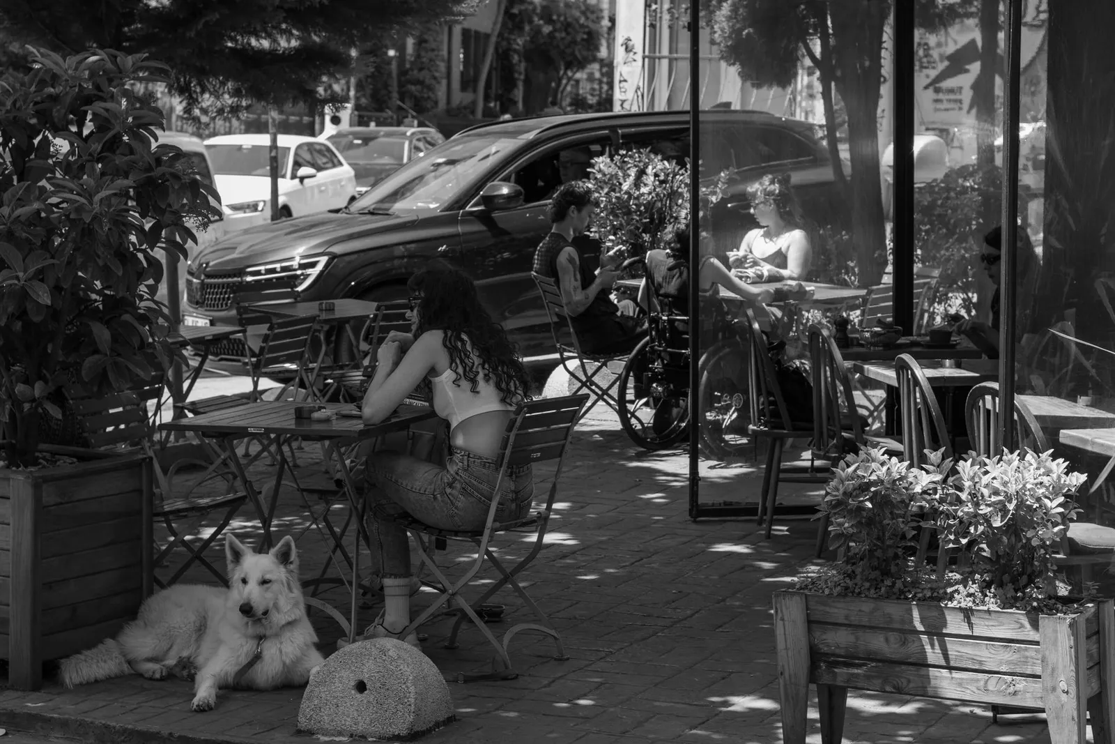 Dog Cafe Delhi: Pet-Friendly Cafes You Can Actually Use