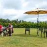 8 Best Dog-Friendly Hotels in Bangalore
