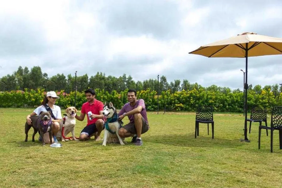 8 Best Dog-Friendly Hotels in Bangalore