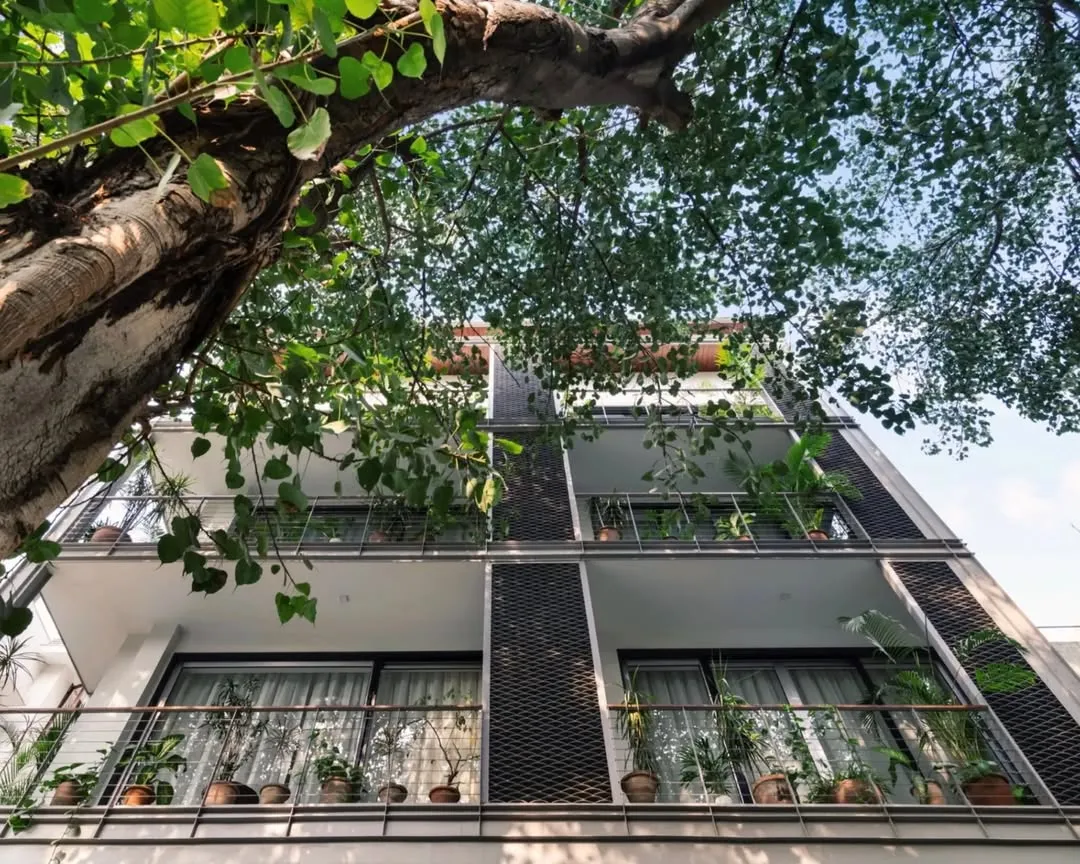 Building exterior viewed through tree branches with balconies and plants