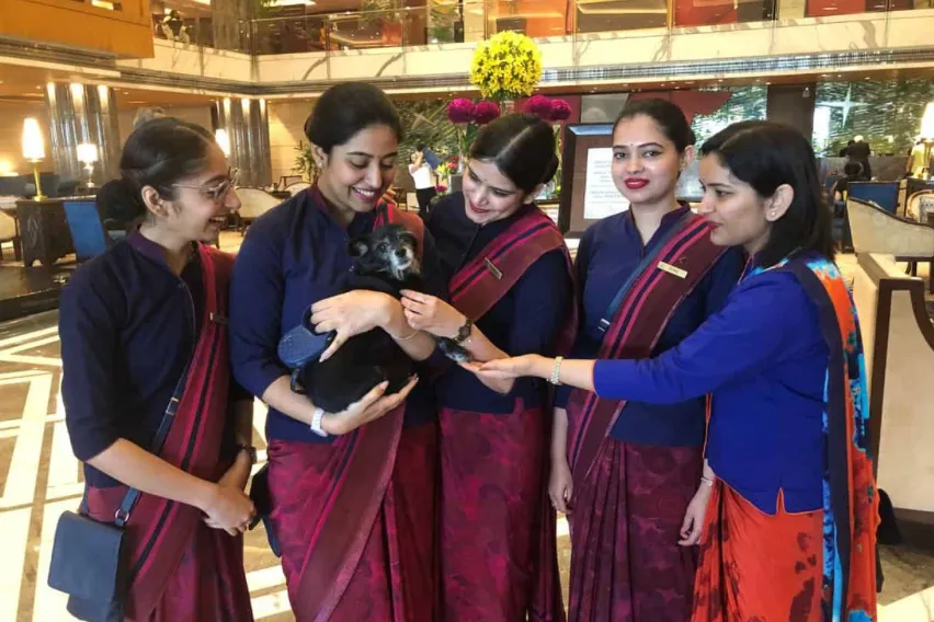 Best Pet Friendly Hotels in Delhi: Great Choices for All Budgets