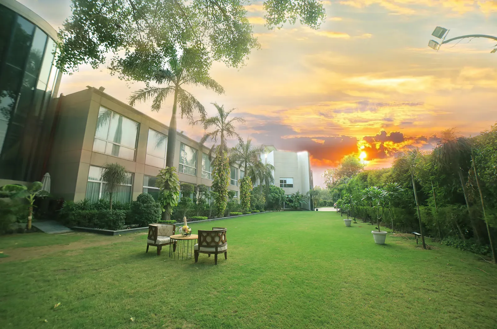 Garden path lined with palm trees and seating beside a modern building at sunset