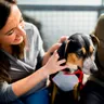 8 Best Dog Friendly Resorts Near Delhi