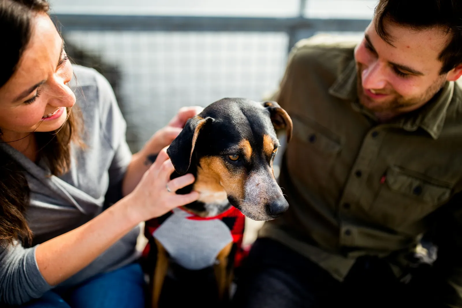 8 Best Dog Friendly Resorts Near Delhi