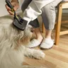 Dog Grooming Brush Guide: Pick by Coat, Not Breed