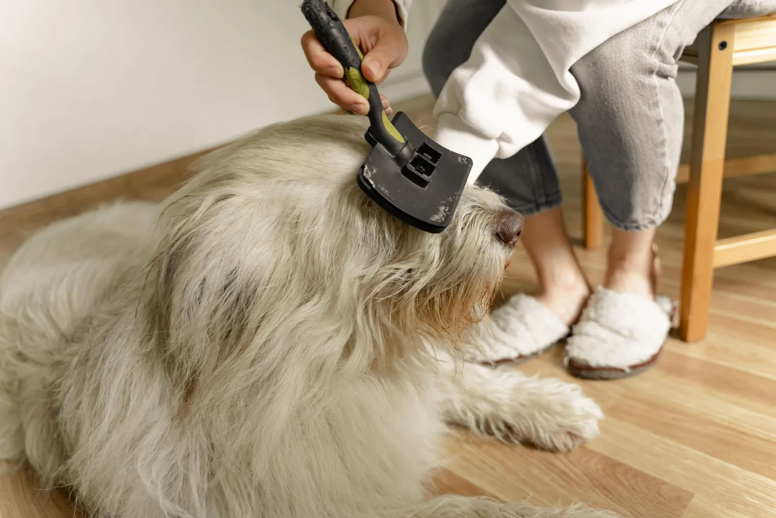 Dog Grooming Brush Guide: Pick by Coat, Not Breed