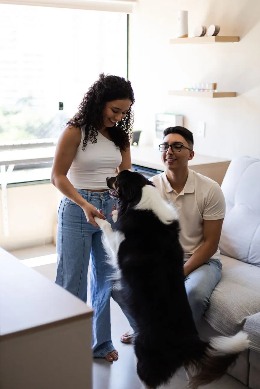 Dog parent preparing a grooming corner in a small apartment