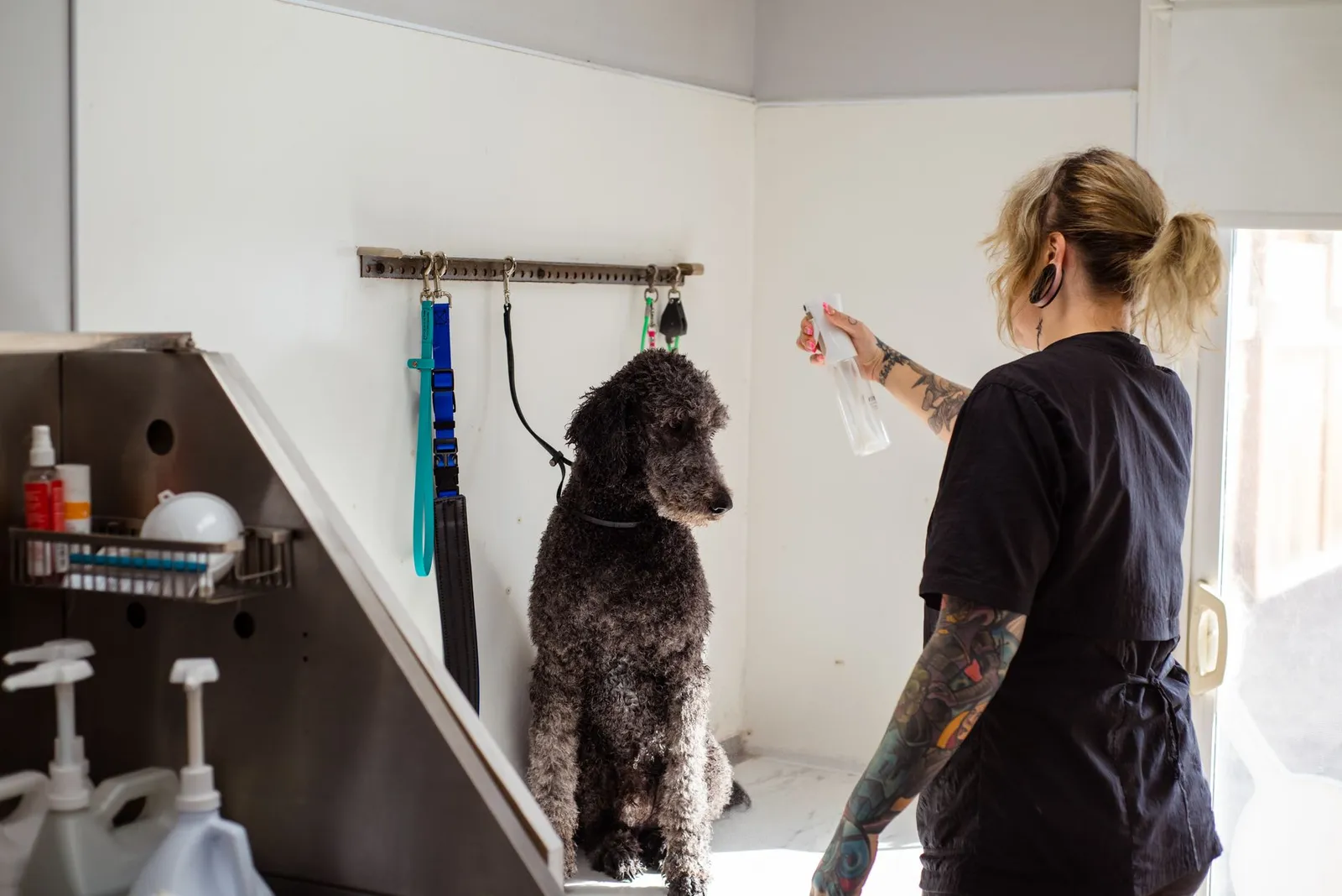 Dog secured gently with a grooming arm loop on a non-slip surface