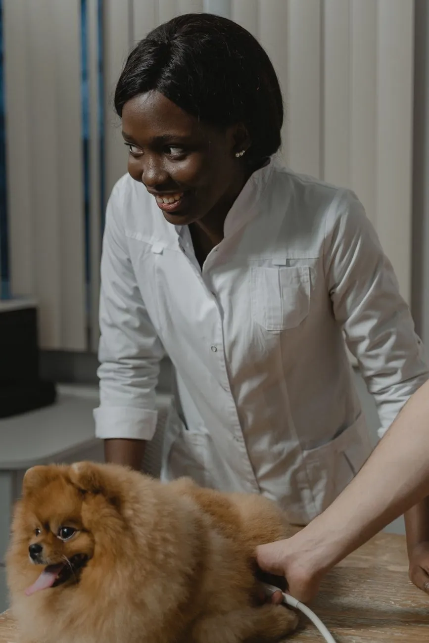 Owner parting dog fur to check for fleas