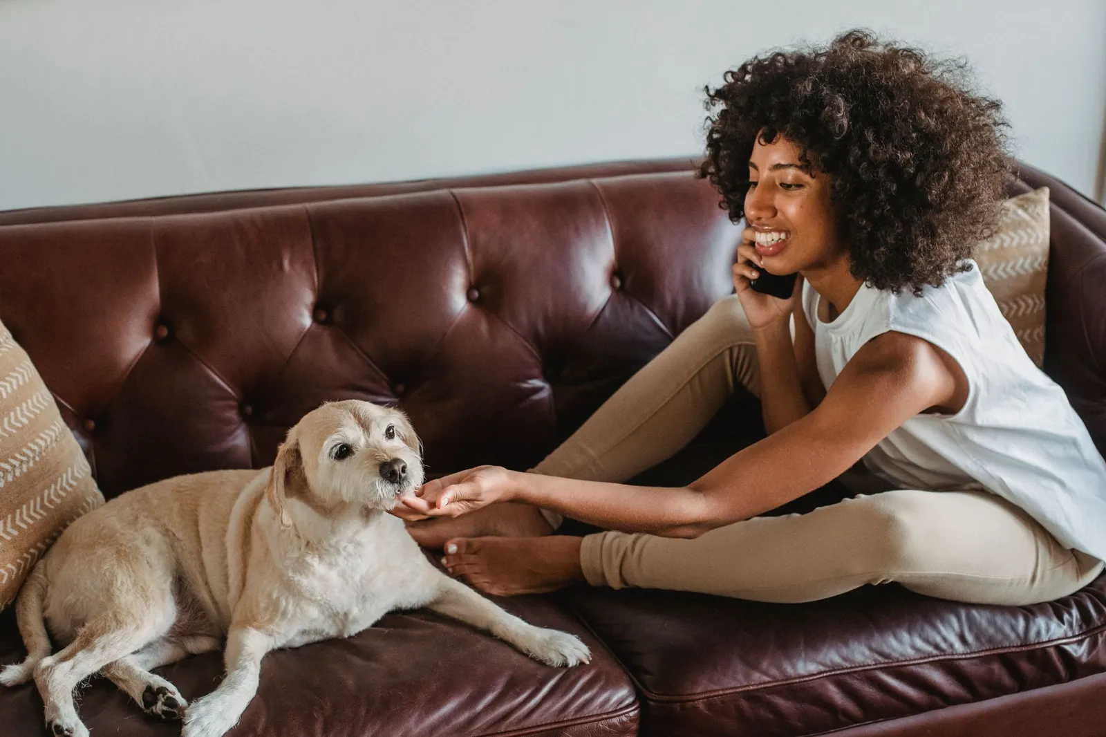 Dog looking up as a person calls their name outdoors
