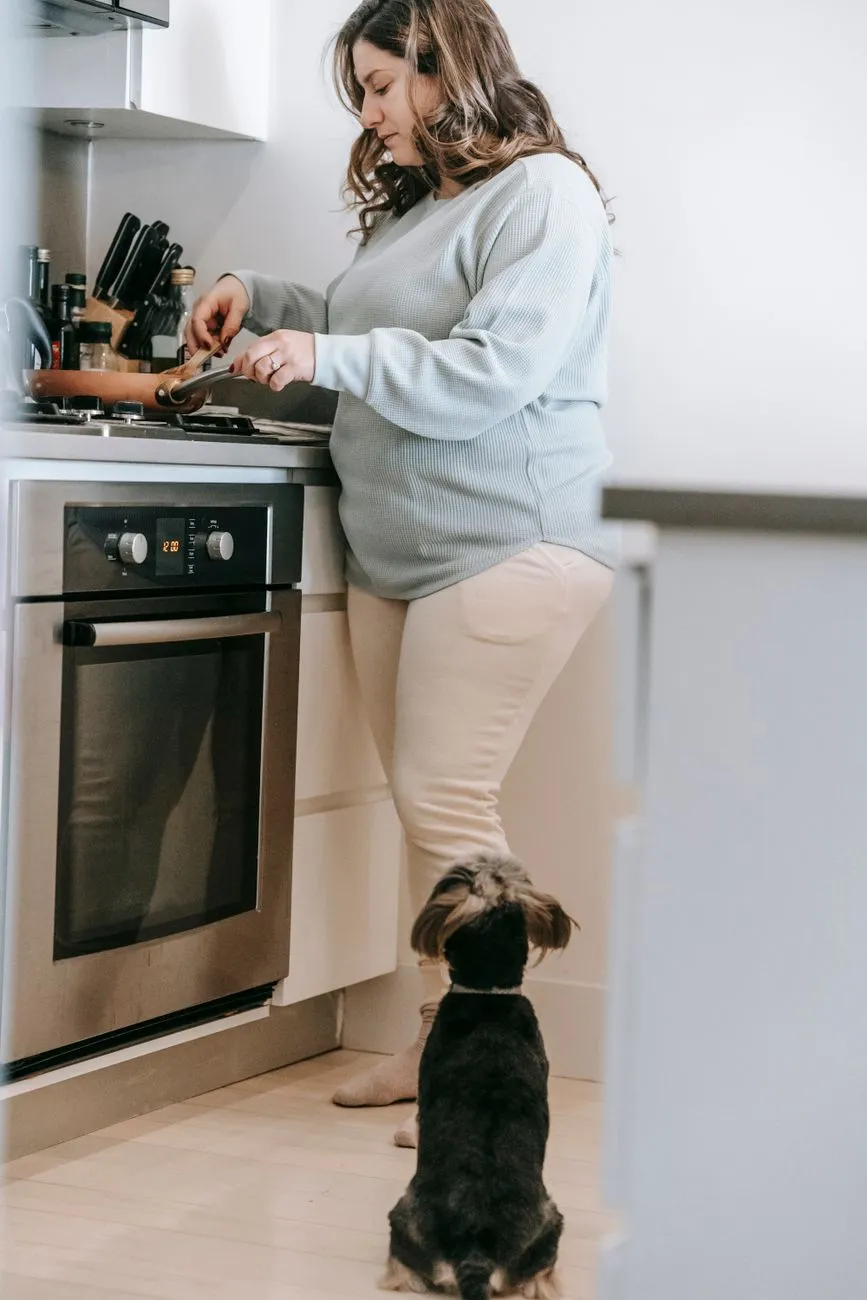 Person warming dog food in a bowl on a kitchen counter