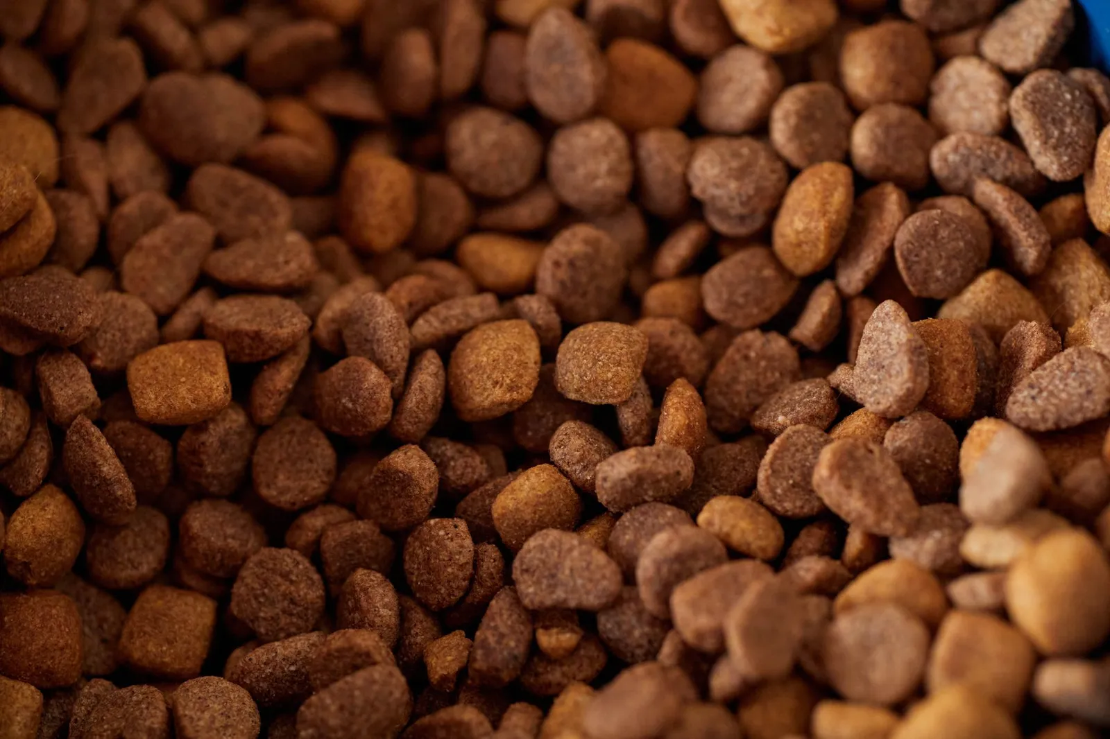 Bag of dry dog food stored beside a metal feeding bowl