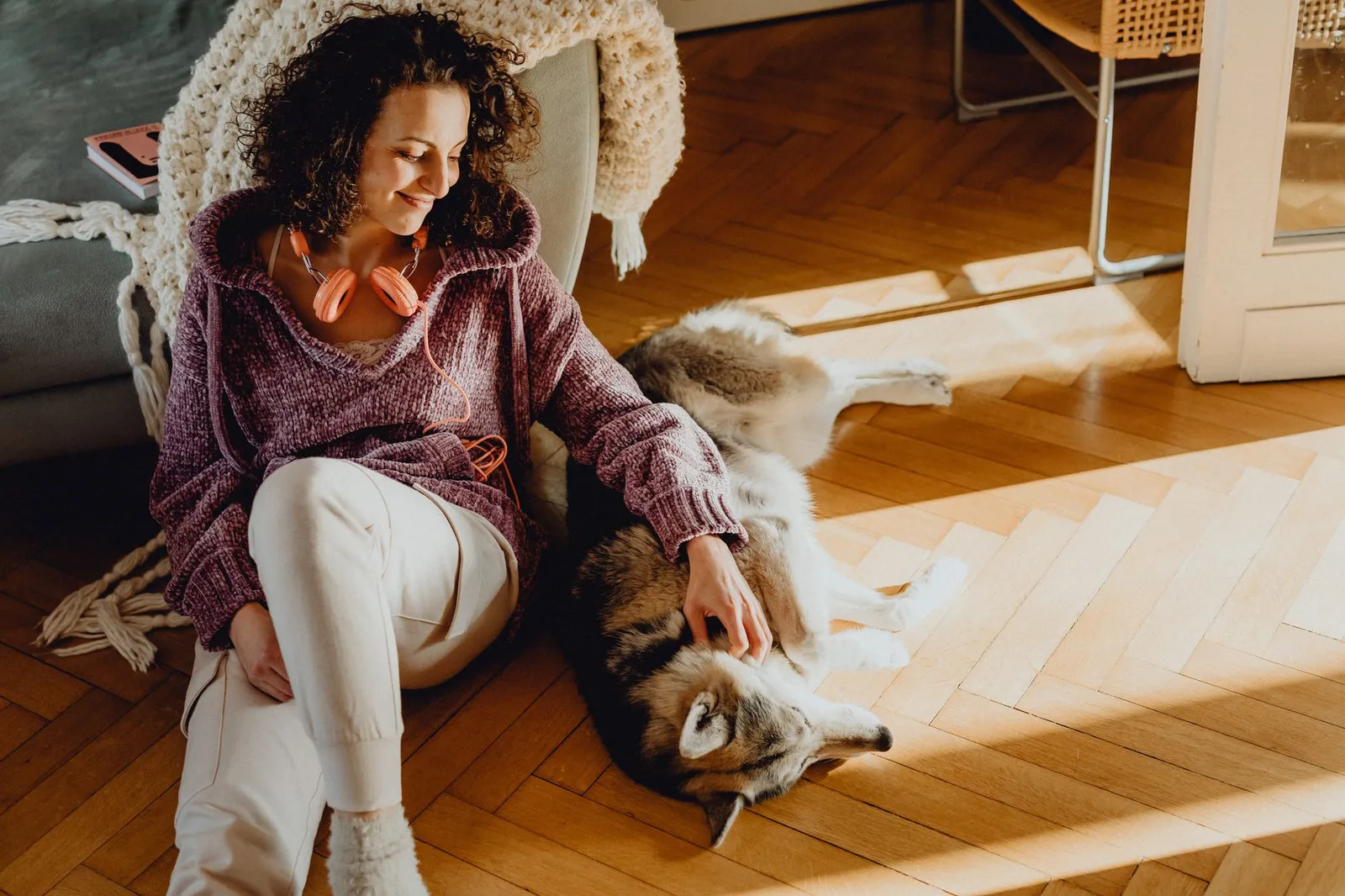 Dog parent staying near a dog resting on the floor