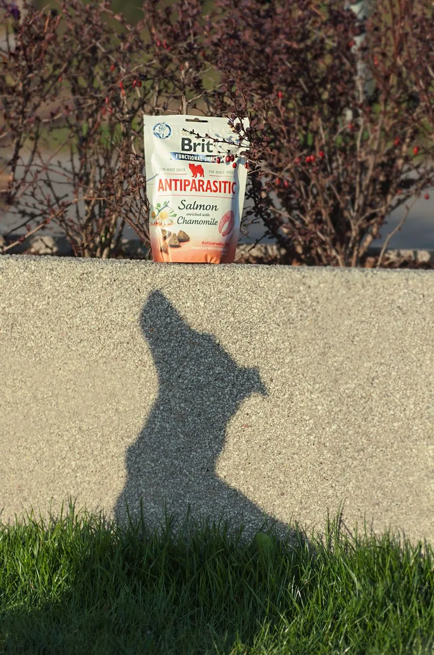 Person reading the ingredient list on a pet treat package