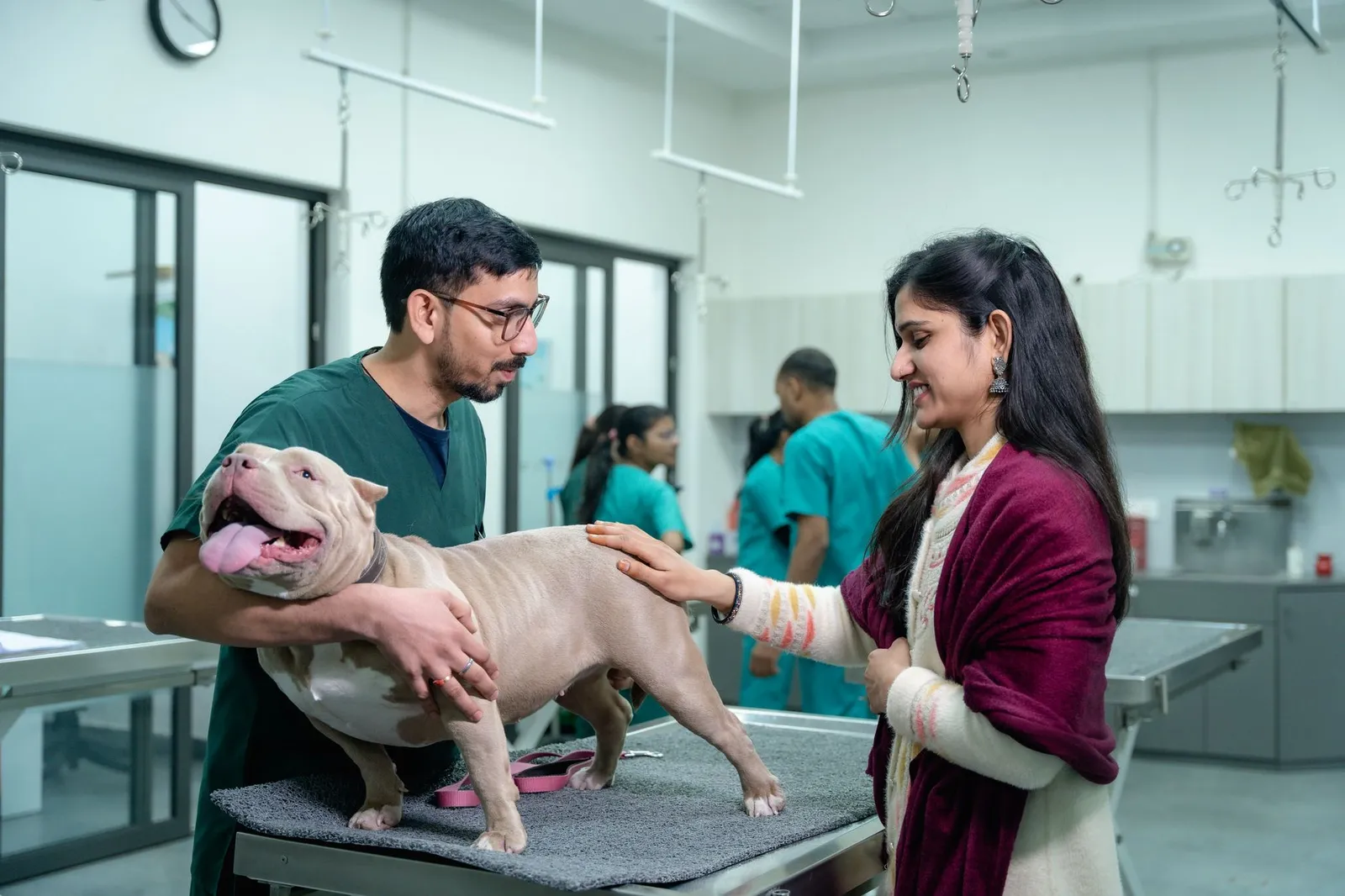Dog sitting calmly during a veterinary visit