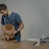 Dog Vaccination Cost in India: Real Prices You Will Pay