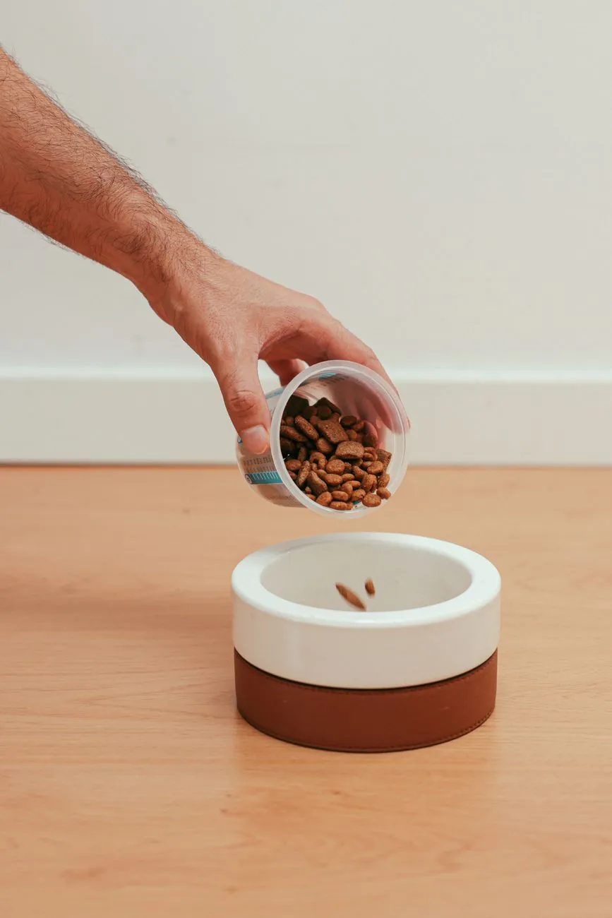 Empty dog food bowl during a short stomach rest