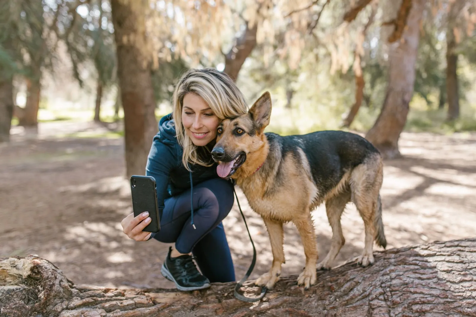 Dog Walker App Guide: Book Walks You Can Actually Track