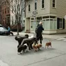 Dog Walker Bangalore: How to Hire One You Actually Trust