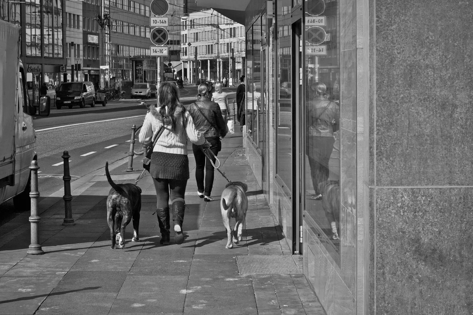 Person walking a dog on a leash along a busy city street
