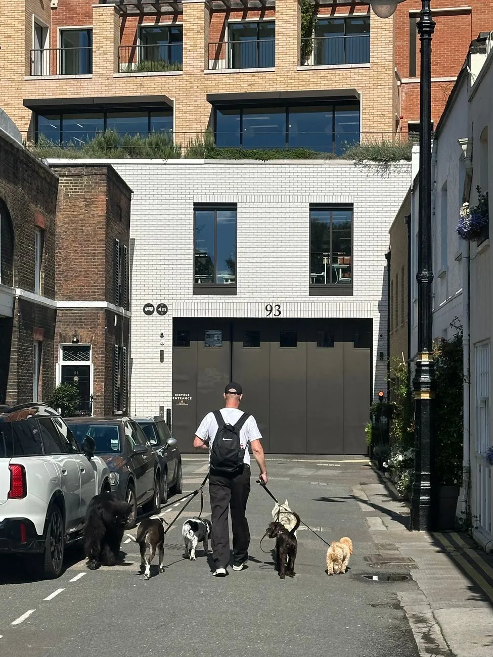 Dog walker leaving an apartment building with a dog on leash