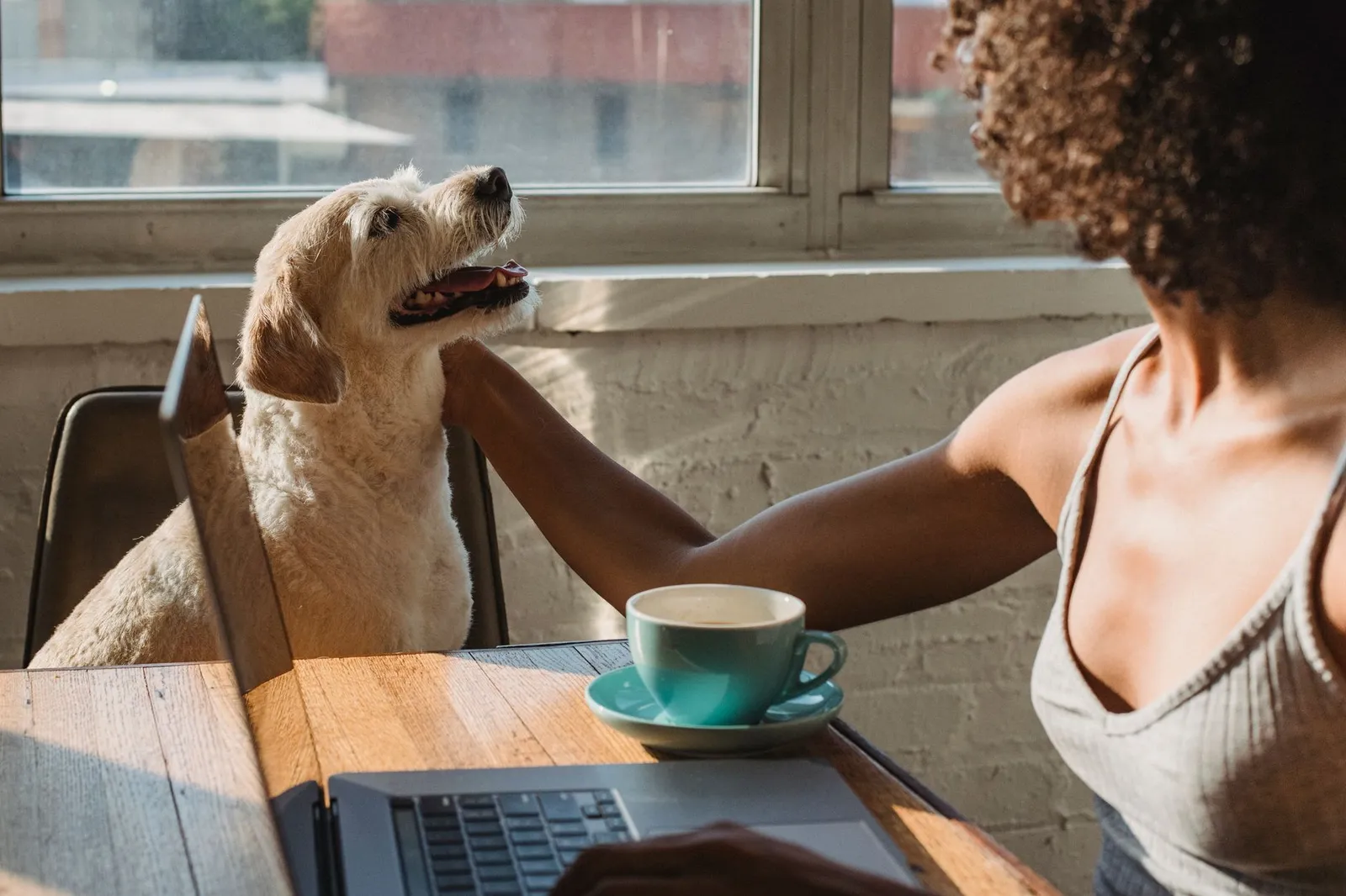 Dog waiting by the door while owner gets ready for work