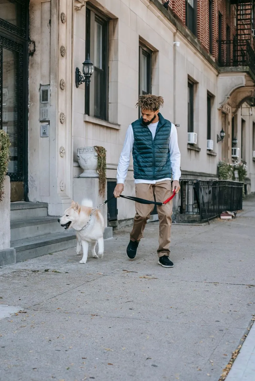 Person walking a small dog on a city sidewalk