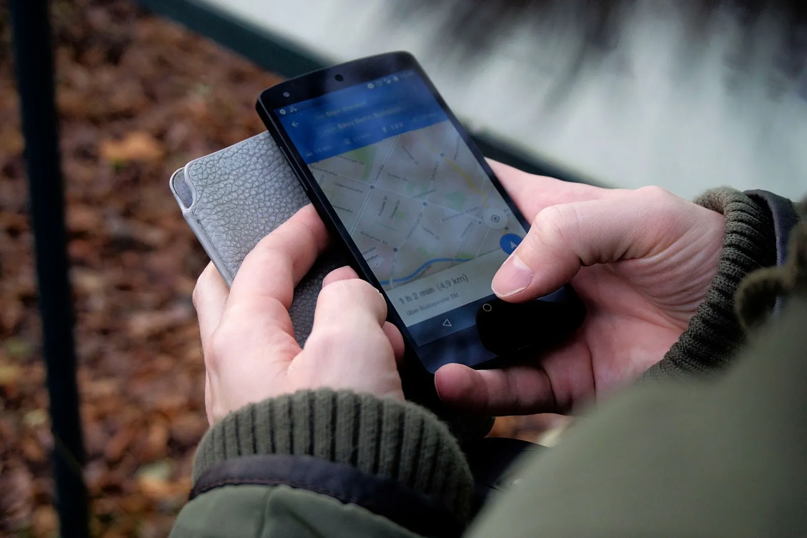 Person checking a phone app during a dog walk