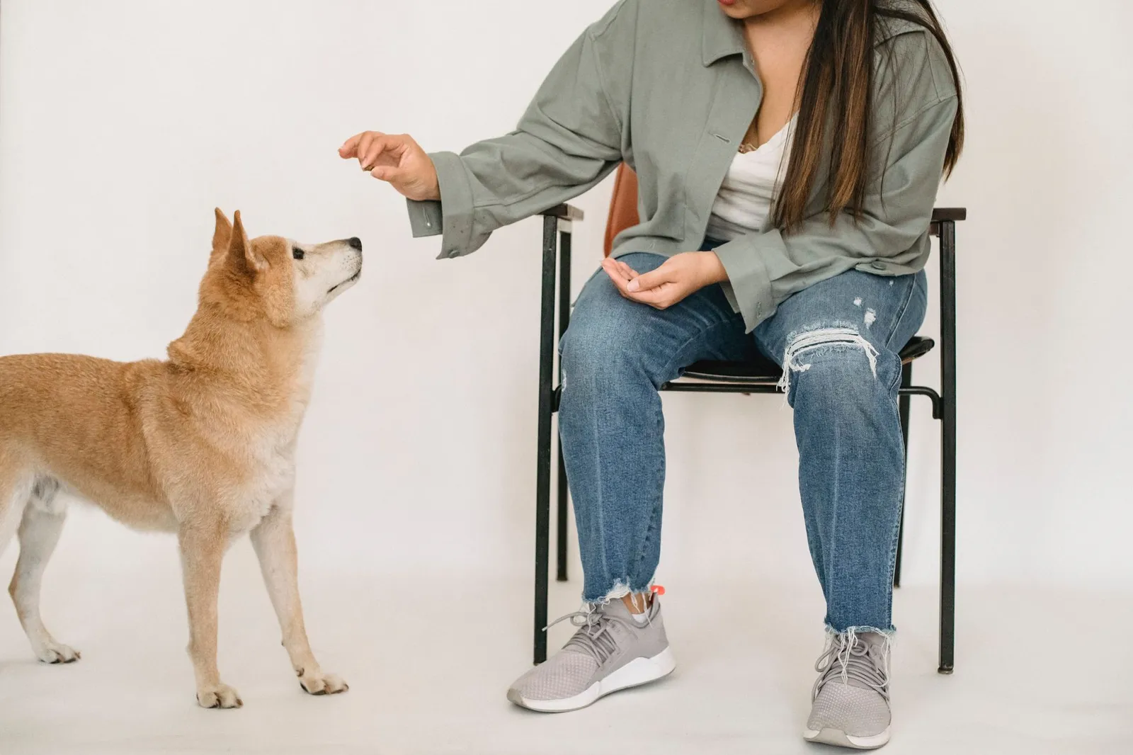 Trainer working with a dog on leash behaviour at home
