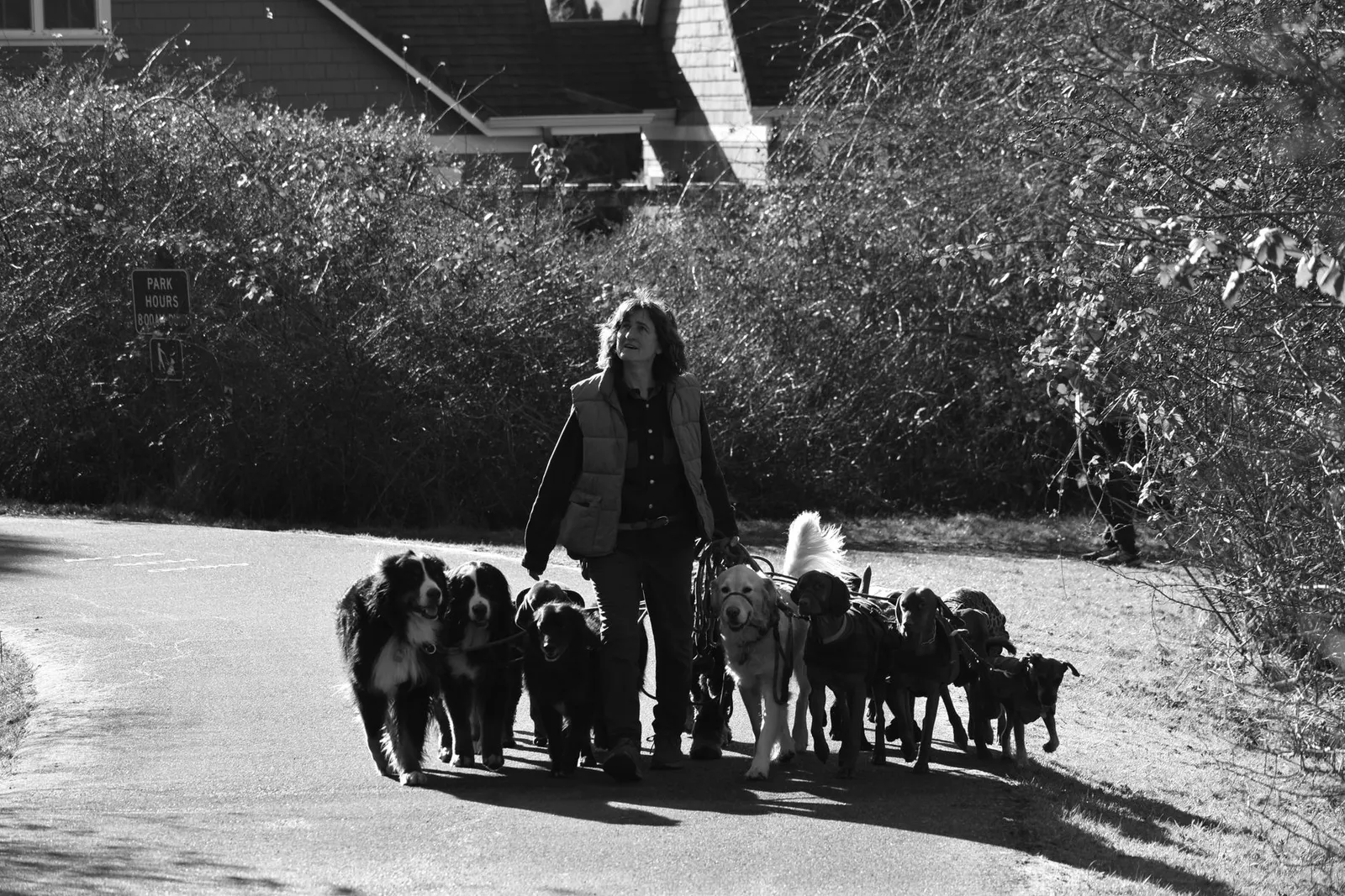 Dog Walking Services in India: How to Pick the Right One