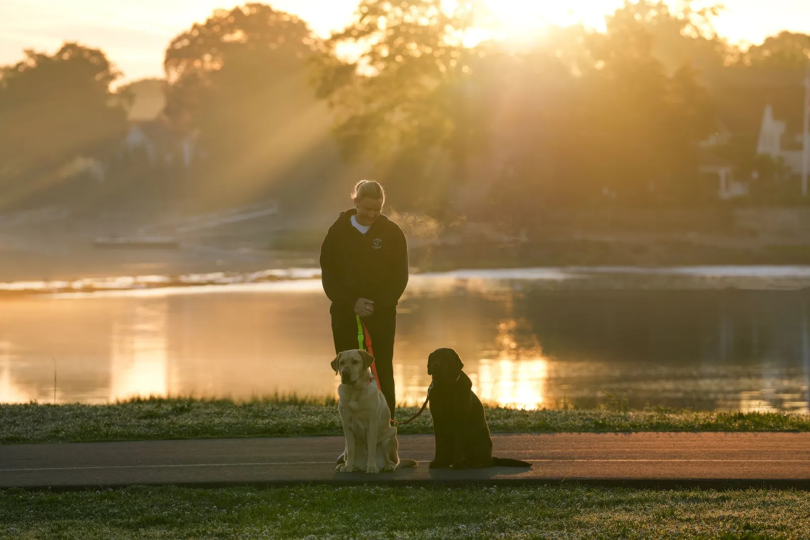 Dog Walking Guide: How Much, When, and How in India
