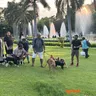 Experience the lush greenery of Nehru Park with your dog in Delhi NCR