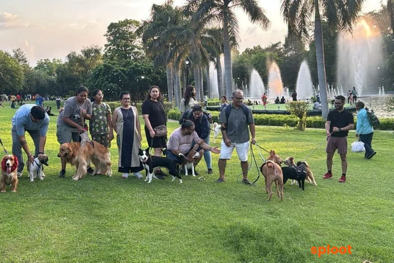 Experience the lush greenery of Nehru Park with your dog in Delhi NCR