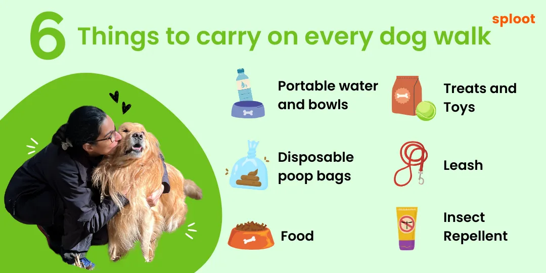 Infographic of six items to carry on a dog walk: water, treats, poop bags, leash