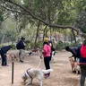 Explore the history of Hauz Khas Deer Park in Delhi with your dog