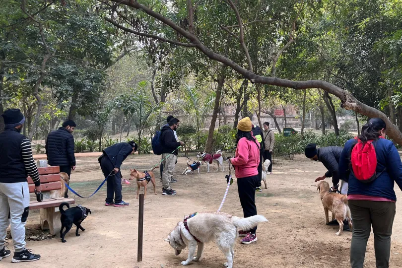 Explore the history of Hauz Khas Deer Park in Delhi with your dog