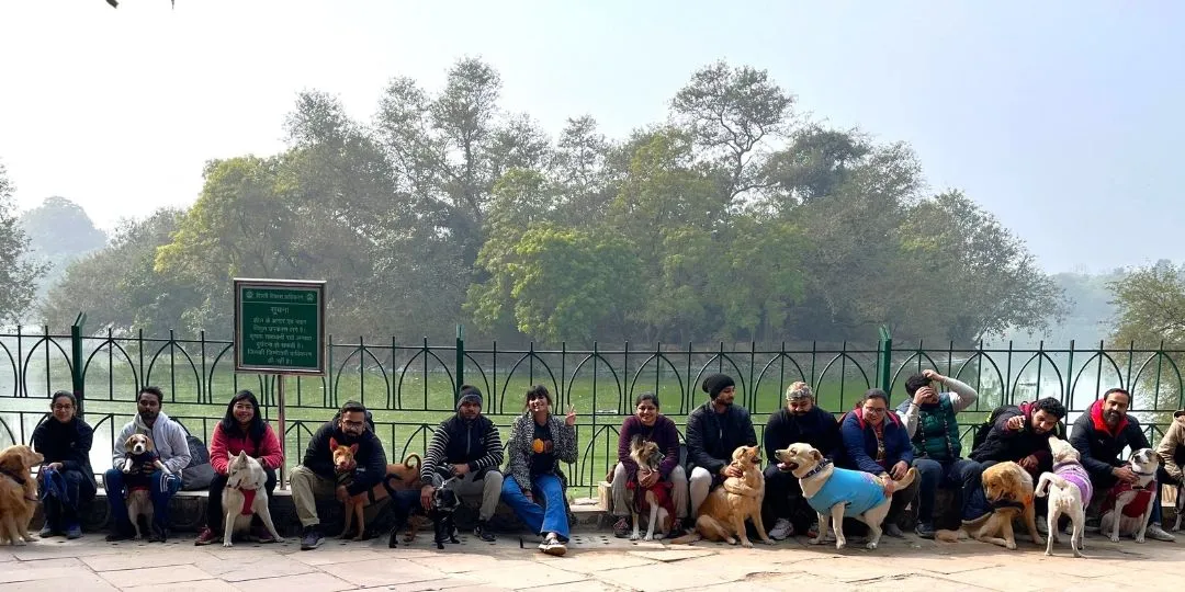 Group of dog parents with their dogs sitting by a lake fence in the park