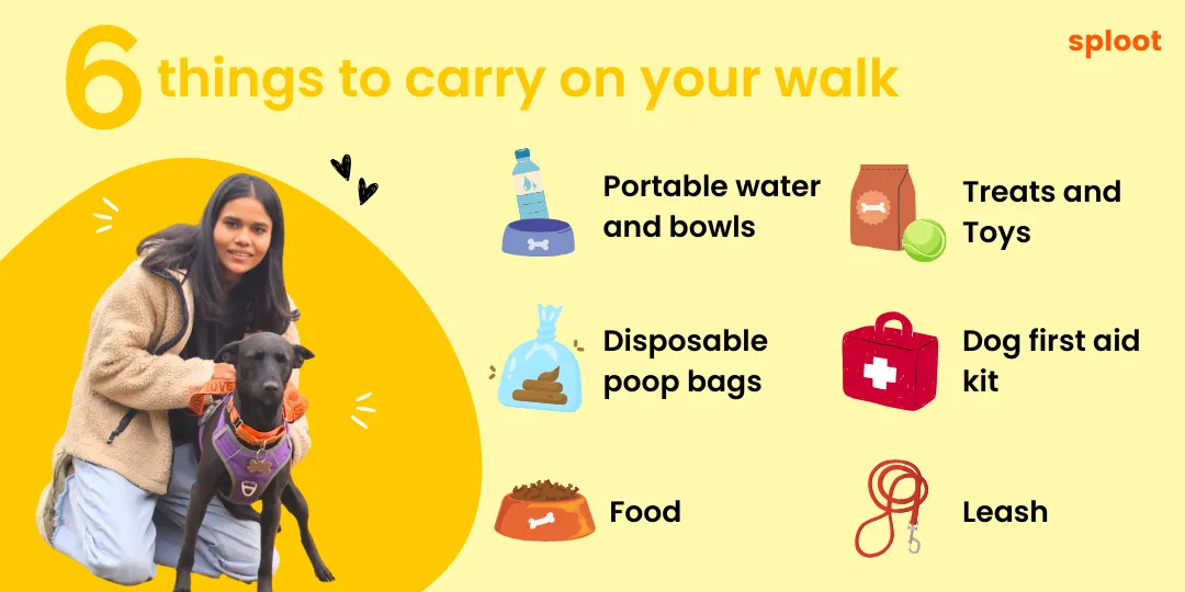 Graphic listing six things to carry on a dog walk beside a photo of a woman with her dog