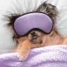 How to Calm a Dog Down: Tips for Relaxing Your Dog