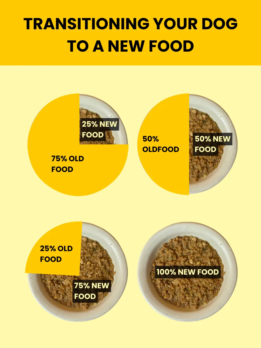 Four food bowls showing 75/25, 50/50, 25/75 and 100% old-to-new food ratios